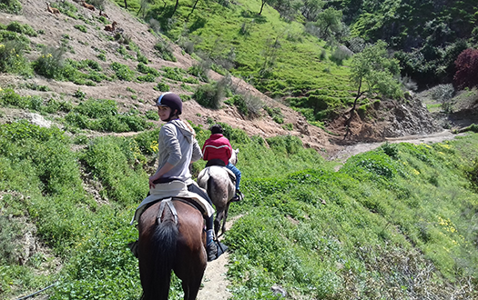 full day trek