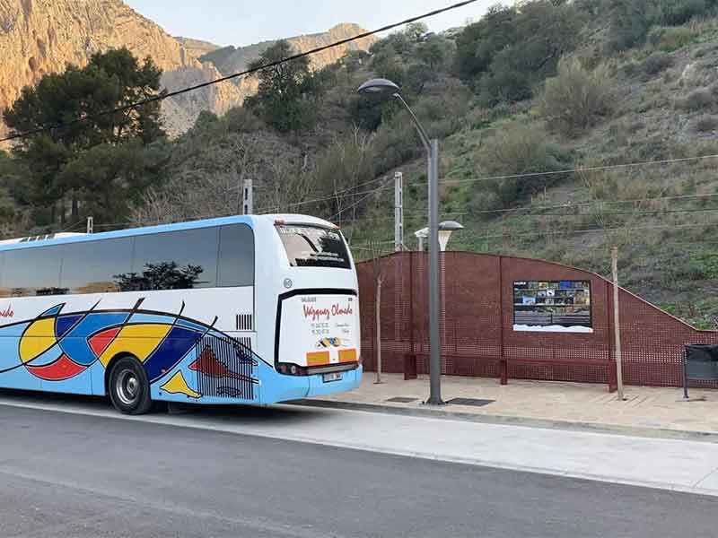 buses