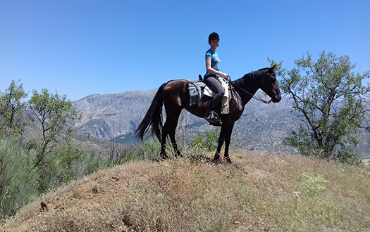 new year trek